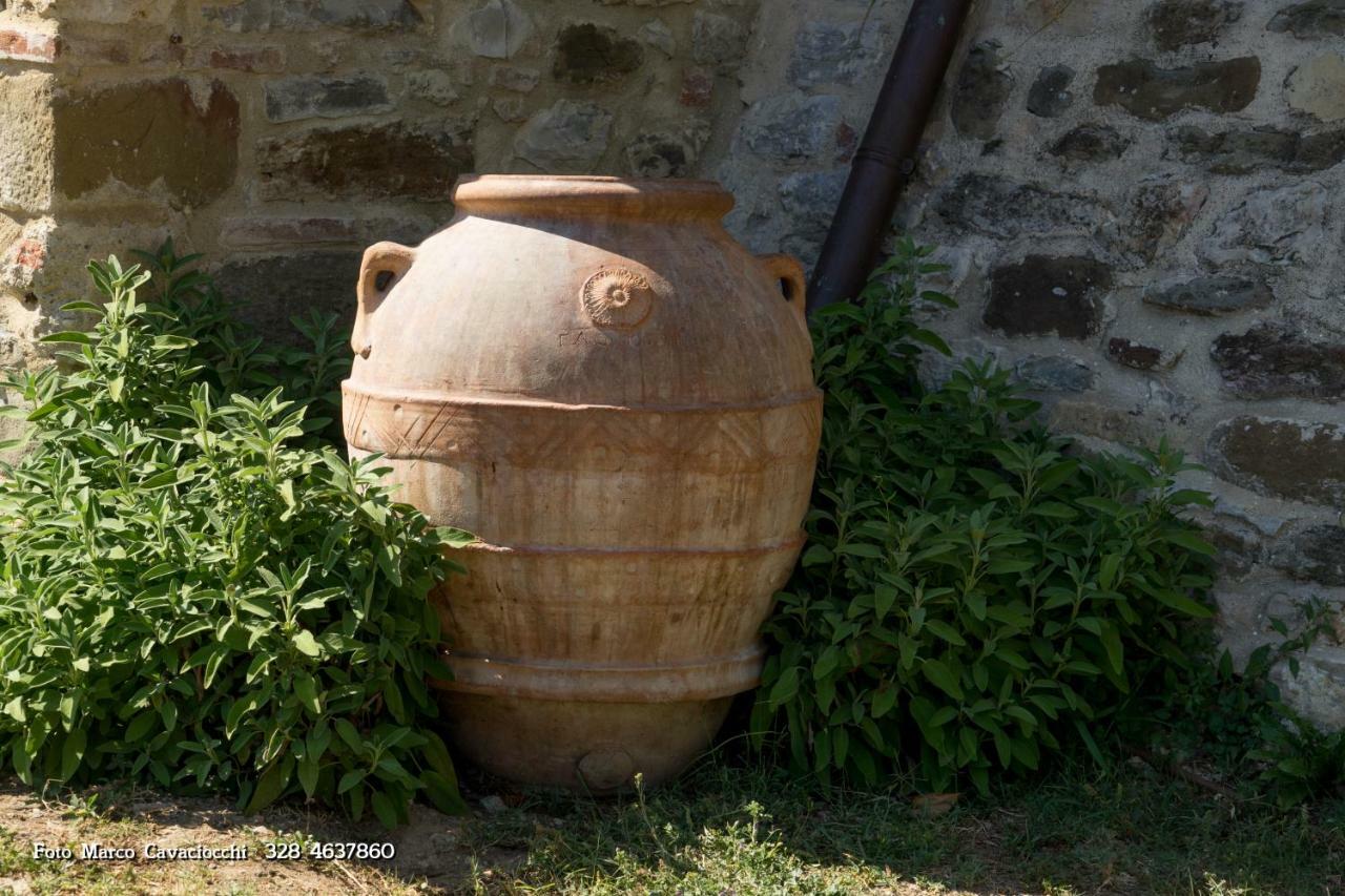 Il Bosso Di Toscana Badia Agnano Exterior foto