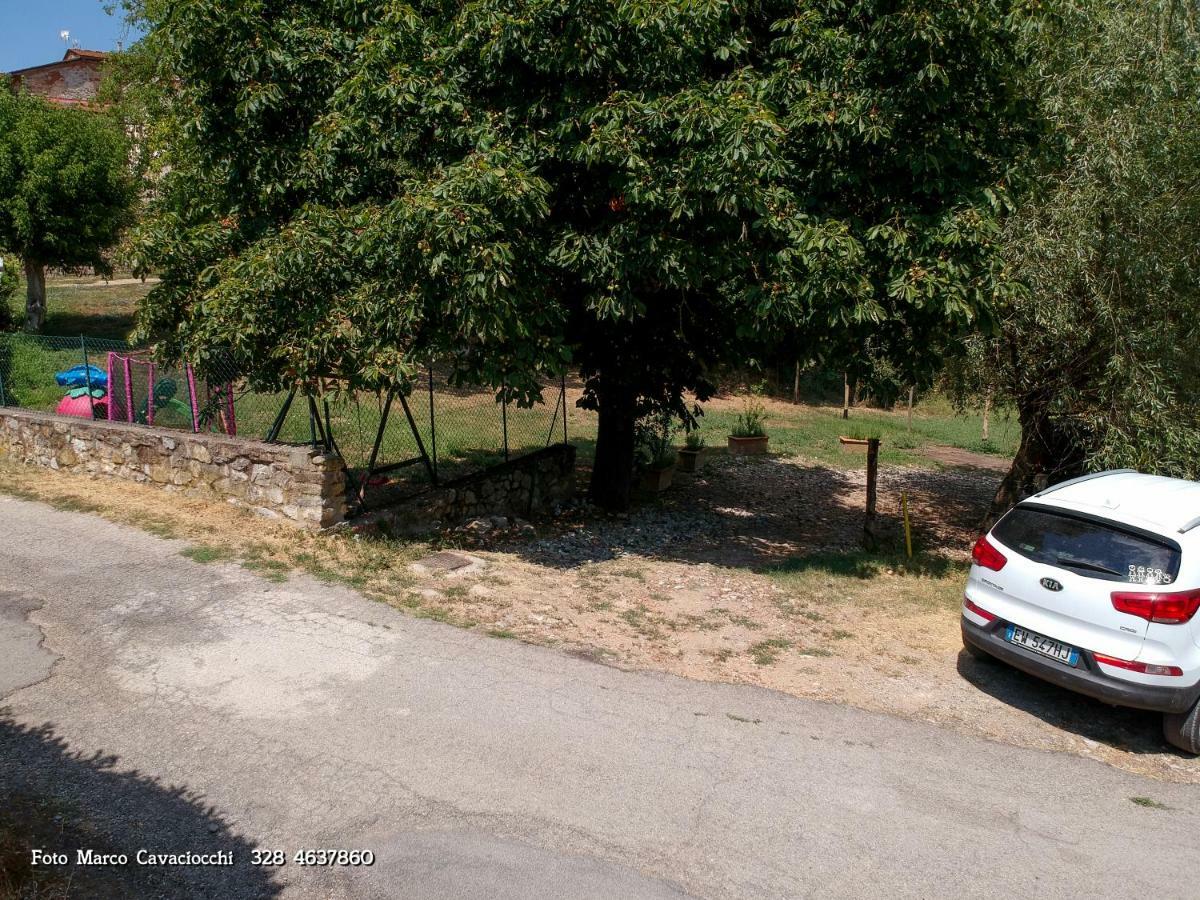 Il Bosso Di Toscana Badia Agnano Exterior foto
